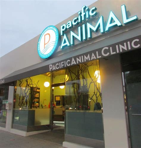Pacific animal hospital - 99 reviews and 19 photos of Pacific Veterinary Hospital "We took our puppy here because he needed to get his testicles removed forever. Upon calling in for an appointment, we realized that we made the right choice. The staff was friendly (almost too friendly...) and acknowledged your presence immediately. 